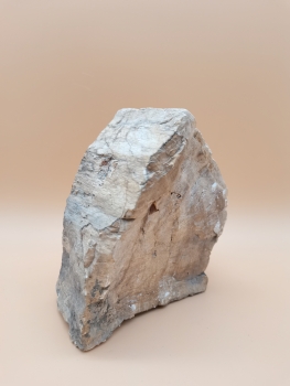 Preview: Australischer Holzopal